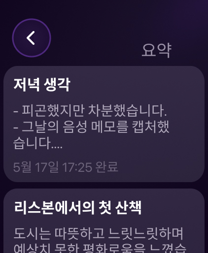 Voice Memory iPhone 요약 화면